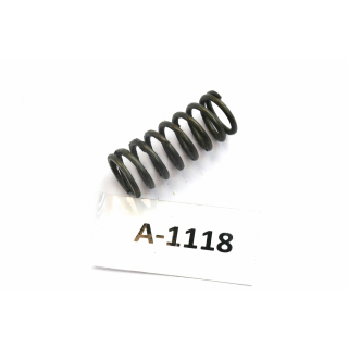 TWN Triumph BDG 250 - Ressort de thermostat A566060066