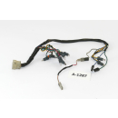Aprilia Pegaso 650 Bj 2000 - wiring harness cable control...