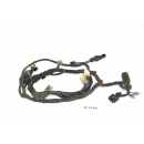 Daelim VS 125 F Bj 1998 - cable harness cable cable A1366