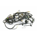 Aprilia RS4 125 Bj 2014 - Mazo de cables Cable A1574