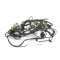 Aprilia RS4 125 Bj 2014 - Câble de faisceau de câbles A1574