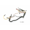 BMW R 51/3 Bj 1951 - cable harness cable cable A1643