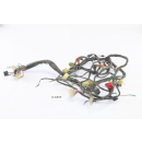 Kawasaki ZR 550 Zephyr Bj 1993 - Harness Cable Cable A1810