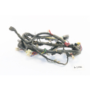 Yamaha TDM 850 3VD Bj 1993- Cable de mazo de cables A1790