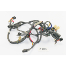 Daelim VS 125 F Bj 1996 - mazo de cables cable cable A1765