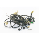 Yamaha FZ 6 Fazer RJ07 Bj 2004 - Wiring Harness Cable Cable A1843