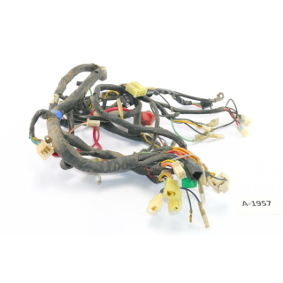 Hyosung GA 125 Cruise Bj 1995 - mazo de cables cable cable A1957