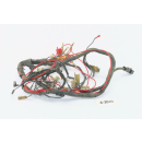 Kawasaki GPZ 305 EX305A Bj 1983 - Cable de mazo de cables...