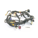 Kawasaki EL 250 B Eliminator - Wiring Harness Cable Cable A2018