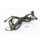 Daelim VS 125 F Bj 1996 - cable harness cable cable A2090