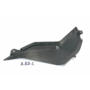 Derbi GPR 125 RG 1A Bj 2010 - side cover panel right A88C