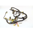 Hyosung GT 650 Naked Bj 2003 - Harness Cable Cable A2318