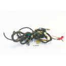 Hyosung GA 125 Cruise Bj 1996 - cable harness cable cable A2309