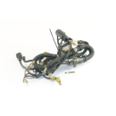 Yamaha TRX 850 4UN Bj 1995 - Arnés Cable Cable A2405