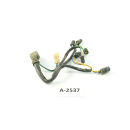 Aprilia RS 125 MP Bj.98 - cableado cabina A2537