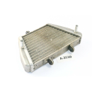 Aprilia Tuono V4 1000 Bj 2011 - Radiatore olio radiatore A2510