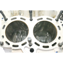 Aprilia Tuono V4 1000 Bj 2011 - engine case engine block A134G
