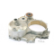 Honda Goldwing GL 1100 SC02 - Tapa del motor tapa del alternador A135G