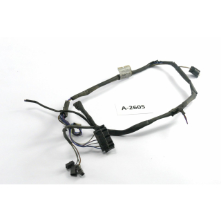 BMW R 1100 S R2S 259 Bj 1998 - wiring harness cable rear A2605