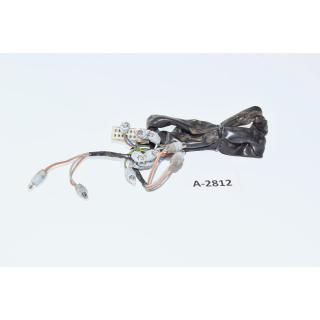 BMW R1150 GS R21 Bj 2000 - Cable control lights instruments A2812