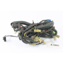 Yamaha TRX 850 4UN - Kabelbaum Kabel Kabelage A2800