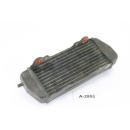 Beta RR 125 LC 4T Bj 2010 - radiator water cooler right A2891