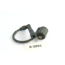 Beta RR 125 LC 4T Bj 2010 - ignition coil A2891