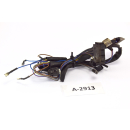 BMW R 1100 S R2S 259 - Mazo de cables, cable, cable...