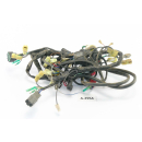 TGB Blade 250 FCB-C Bj 2006 - Harness Cable Cable A2954