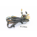 Aprilia Pegaso 650 MX 92-96 - instrumentos de luces de control por cable A2966