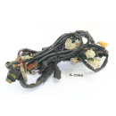 Aprilia Pegaso 650 MX 92-96 - câble de faisceau de câbles A2969