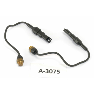 BMW R 1200 GS R12 Bj 2005 - Temperature switch temperature sensors cylinder head A3075