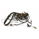 Aprilia AF1 RS 50 Bj 1988 - 1991 - wiring harness cable...