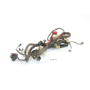 BMW F 650169 Bj 1997 - mazo de cables cable cable A2378
