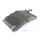 Honda CBR 900 RR SC28 Bj. 94 - Radiator A73E