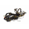 Honda CBR 900 RR SC33 Bj.95 - posición del cable del cable del mazo de cables A3260