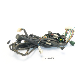 Aprilia SL 1000 Falco Bj. 01 - wiring harness main wiring harness A1813