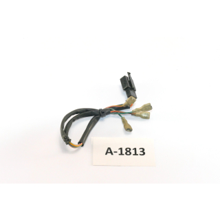 Aprilia SL 1000 Falco Bj. 01 - Câblage du câble du système électrique A1813
