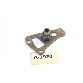 Aprilia SL 1000 Falco Bj. 01 - Plate for roller cage AP0211756 A1920