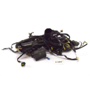 Aprilia RSV 1000 Mille RP Bj 2001 - wiring harness cable cable assembly A3866