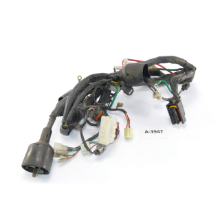Daelim Roadwin 125 R Bj. 2011 - wiring harness cable cable location A3947
