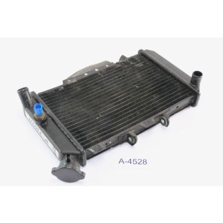 Hyosung GT 650 Comet Bj 2005 - radiator water cooler A4528