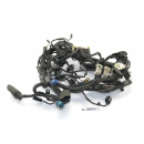 Kawasaki KLE 650 Versys LE650A Bj 2006 - Wiring Harness Cable A4653