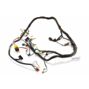 Kymco Quannon 125 - wiring harness cable cableage A4724