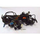 BMW R 1100 R 259 Bj 1992 - Wiring harness cable A4853