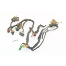Honda VF 750 C Magna Deluxe RC43 Bj 1996 - Wiring Harness...