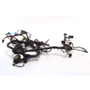 Triumph Tiger 955i 709EN BJ 2003 - Wiring Harness Cable...