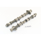 Triumph Tiger 900 T400 BJ 1996 - Camshafts A5095