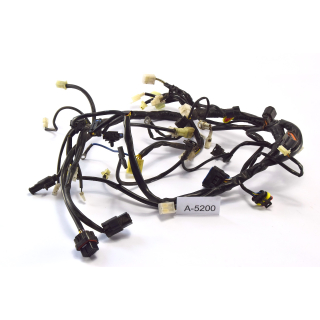 SWM RS 125 R BJ 2016 - mazo de cables cableado A5200