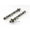 Triumph Sprint ST 1050 BJ 2005 - Camshafts A5161